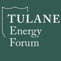 Tulane Energy Form icon